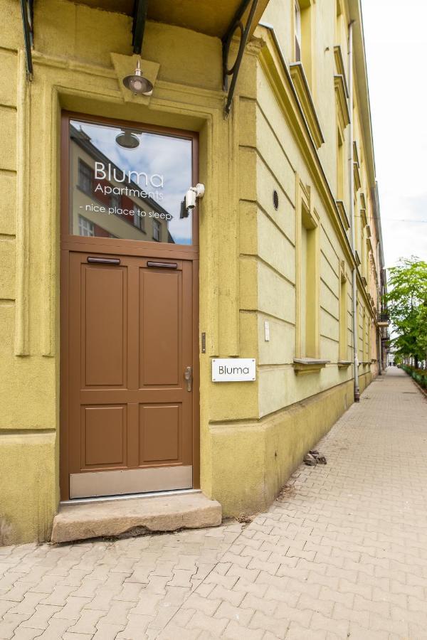 Bluma Kraków